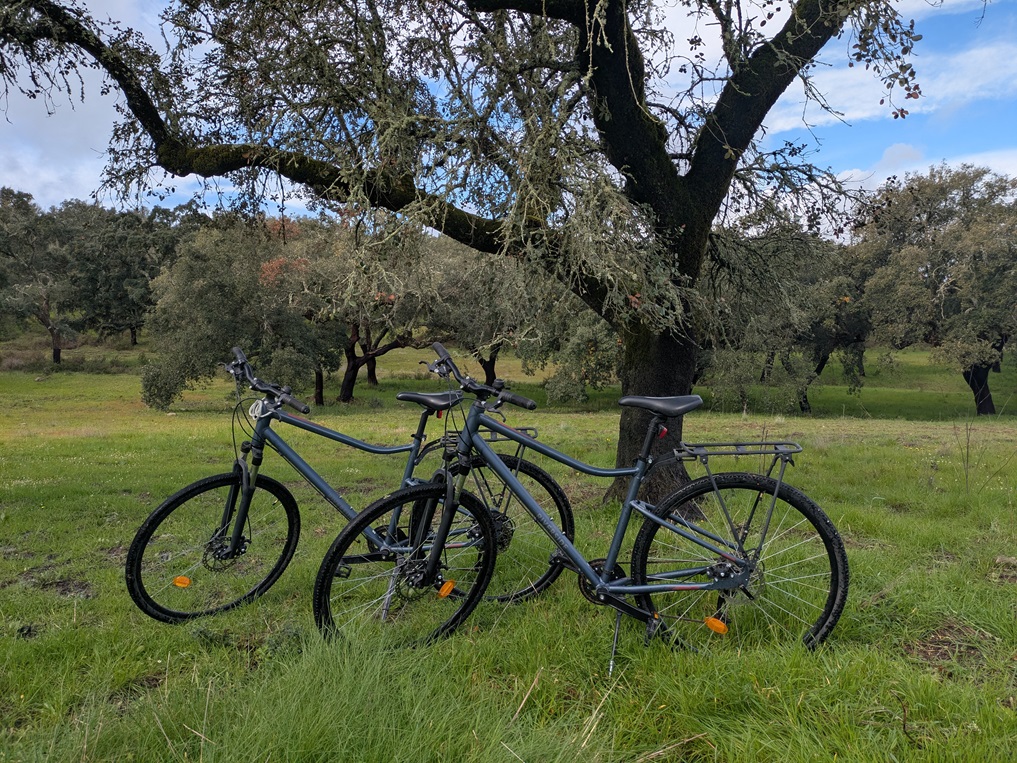 cykel