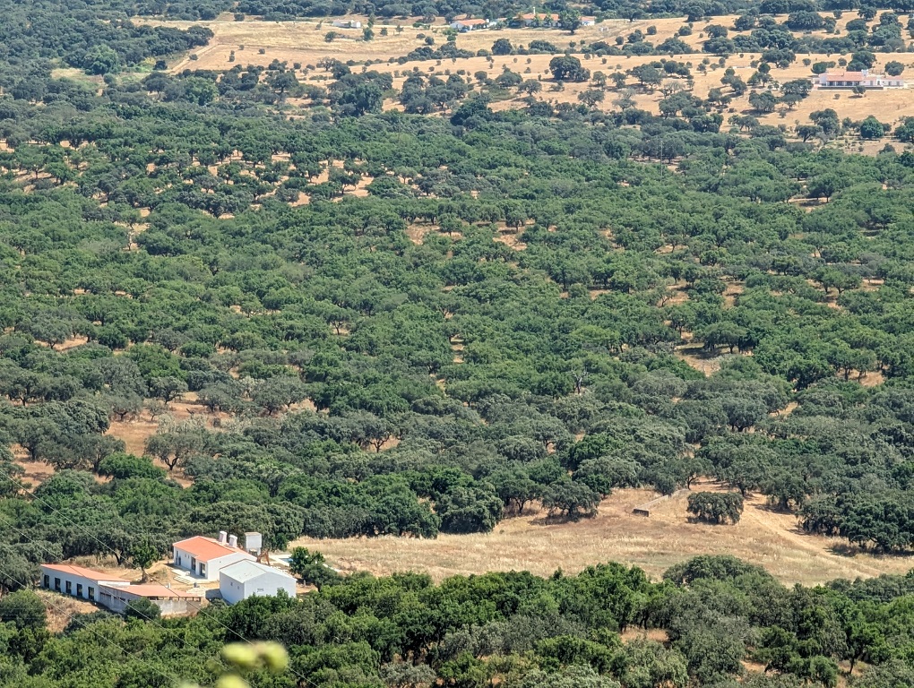 view-roque